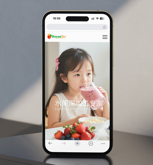 海阳宝岩食品科技有限公司